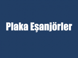 Plaka Eşanjörler